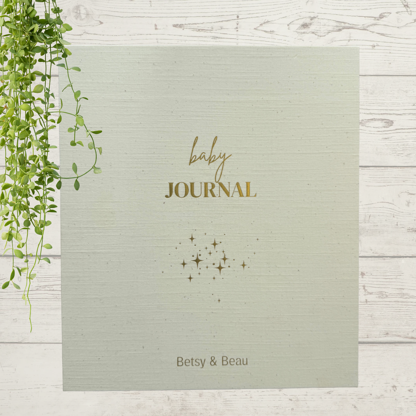 Deluxe Baby Journal
