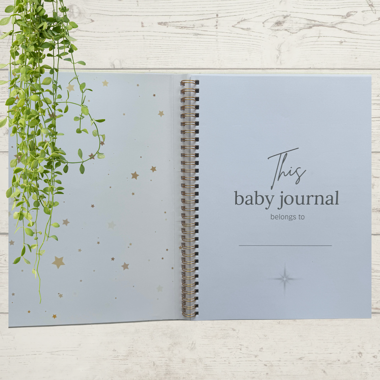 Deluxe Baby Journal - Introductory Offer