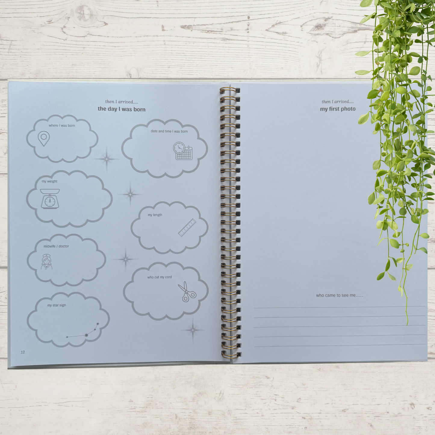 Deluxe Baby Journal - Introductory Offer
