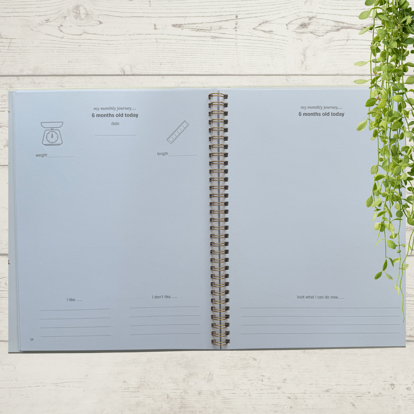 Deluxe Baby Journal - Introductory Offer