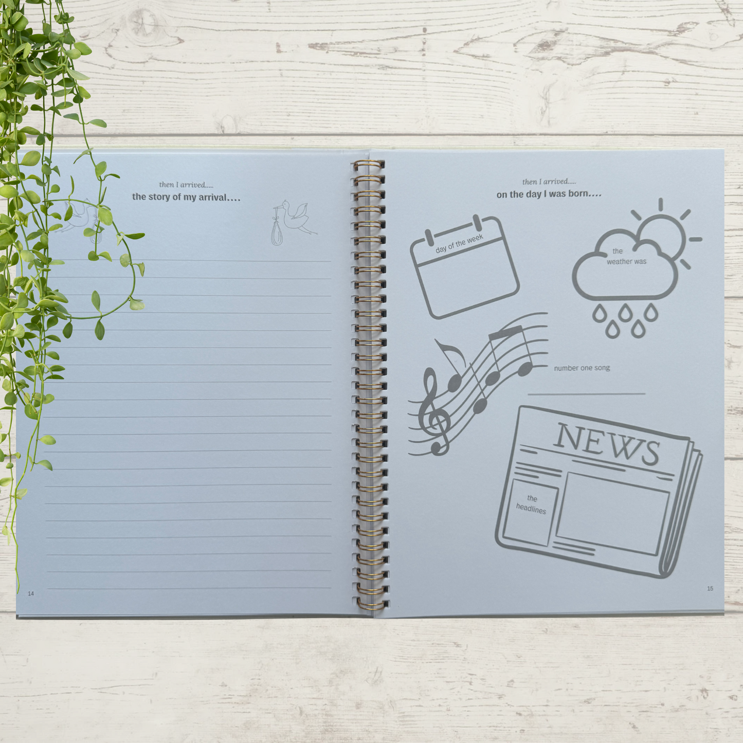 Deluxe Baby Journal - Introductory Offer