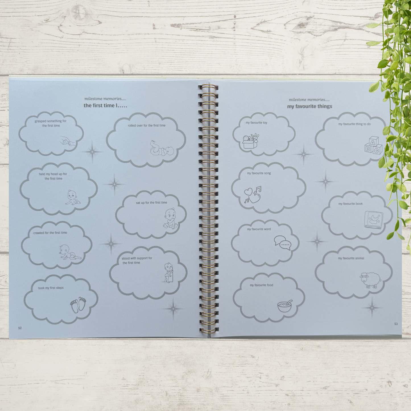 Deluxe Baby Journal - Introductory Offer