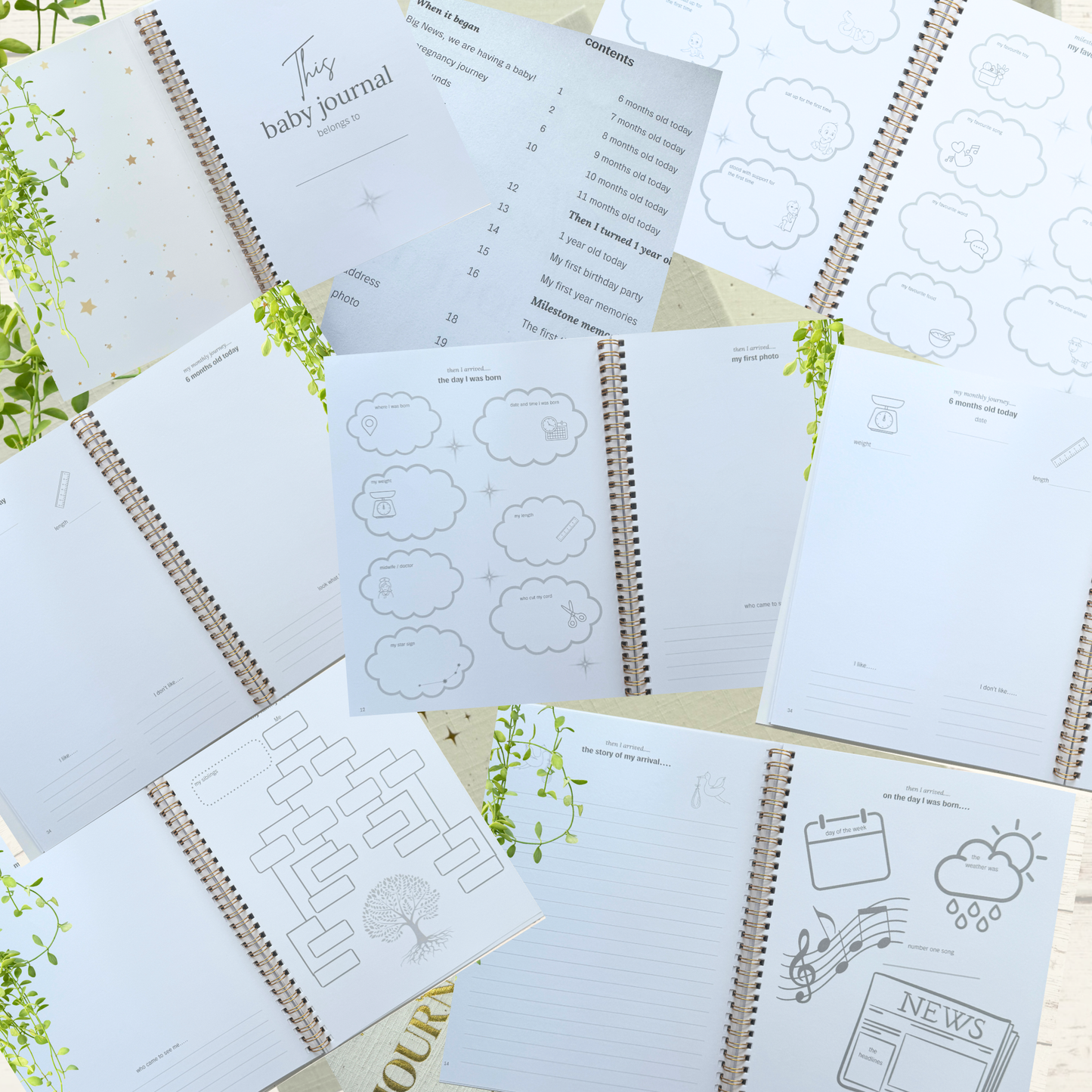 Deluxe Baby Journal